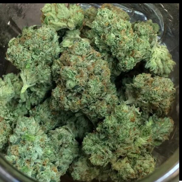 buy-ghost-cookies-hybrid-strain-cannabis-dispensary-near-me-dr