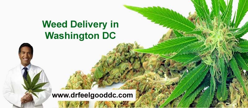 Weed Delivery in Washington DC