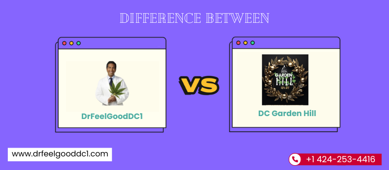 Difference Between DC GardenHill and DrFeelGoodDC1: A Quick Comparison