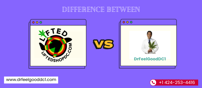 Difference Between LiftedShopDC and DrFeelGoodDC1: A Quick Comparison