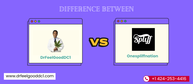 Difference Between Onespliffnation and DrFeelGoodDC1: A Quick Comparison